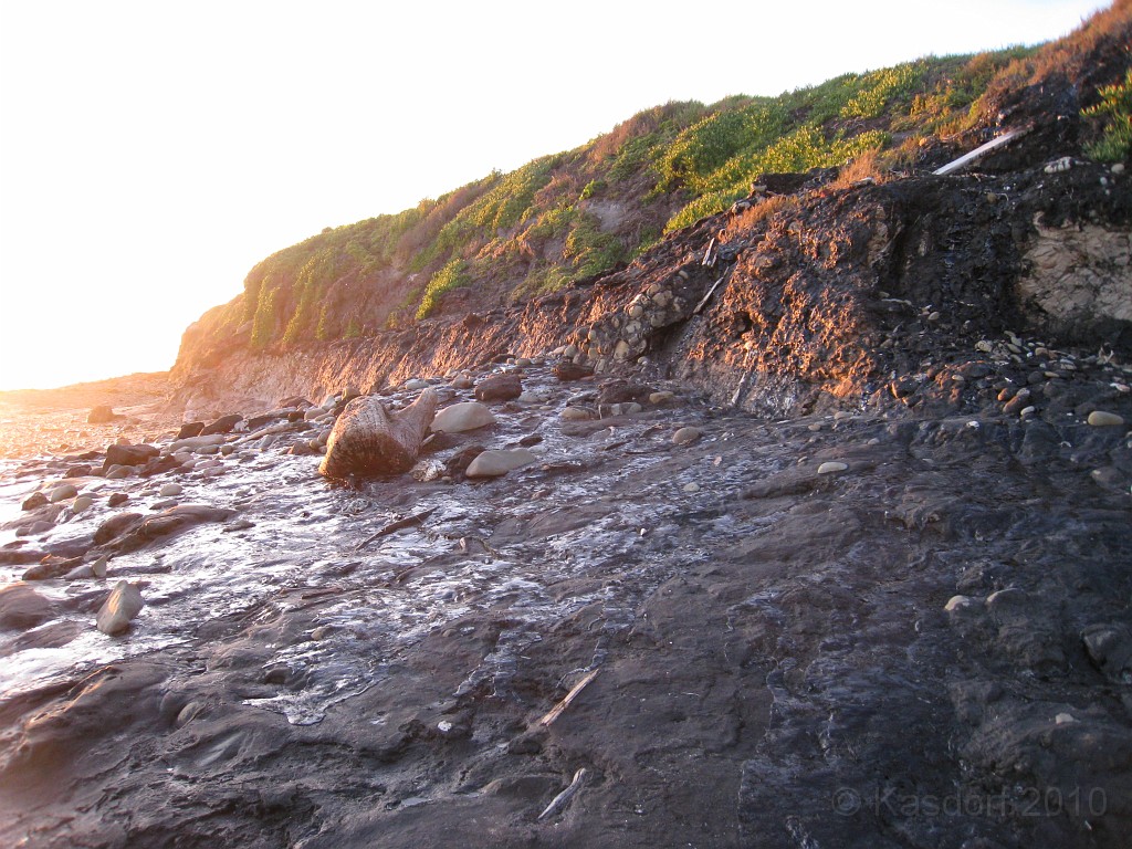 Carpinteria California 2010-02 0880.jpg - A trip to Carpinteria California. Surfing, food, beachs and tar pits.